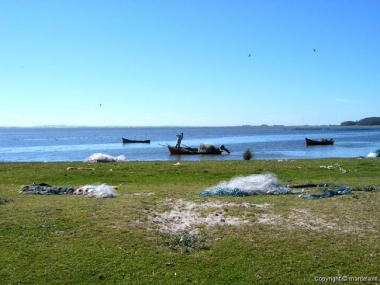 Ampliacin de Pescando en la Laguna de Rocha (Ventana nueva)