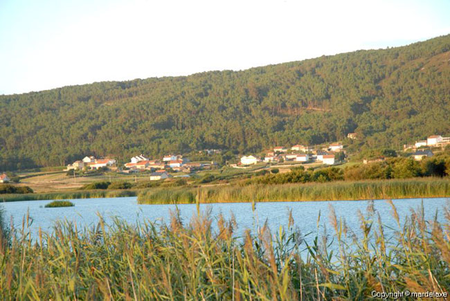 Traba Laguna