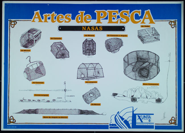 Nasas