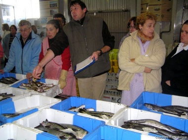 Ampliaci�n de Na lonxa (Vent� nova)