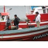 Ampliación de Pescadores chilenos nunha embarcación